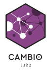 Cambio Labs at the Brooklyn STEAM Center